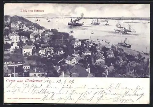 AK Hamburg-Blankenese, Blick vom Süllberg, Dampfer auf der Elbe