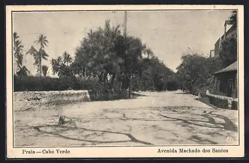 AK Praia, Avenida Machado dos Santos