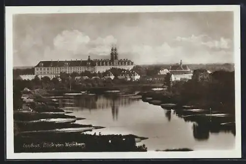 AK Leubus, Blick vom Weinberg