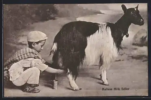 AK Malta, Maltese Milk Seller, Junge melkt eine Ziege