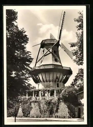 AK Potsdam, Sanssouci, Historische Mühle