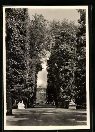 Foto-AK Deutscher Kunstverlag, Nr. 94: Potsdam, Sanssouci, Terrassenallee