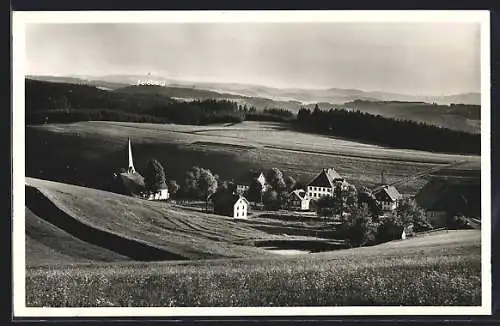 AK Neukirch / Schwarzwald, Blick gegen den Feldberg