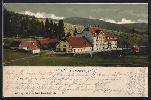 AK Feldberg / Schwarzwald, Gasthaus Feldbergerhof