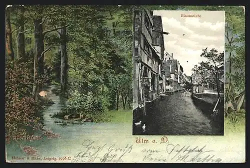 AK Ulm / Donau, Blauansicht, Idylle im Wald