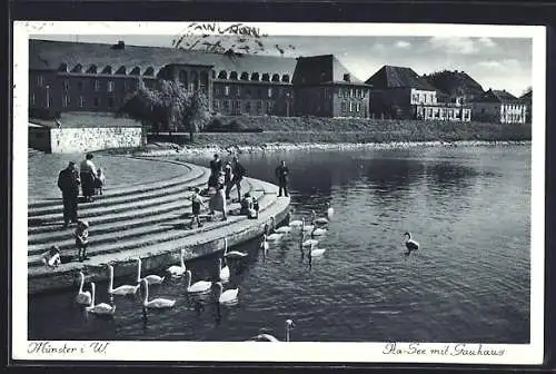 AK Münster / Westfalen, Aa-See mit Gauhaus