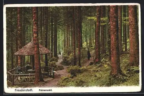 AK Freudenstadt, Palmenwald mit Pilz