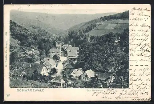 AK Bad Griesbach, Teilansicht mit Blick auf den Schwarzwald