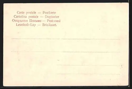 AK Nürnberg, Burg und Vestnertor mit rundem Turm