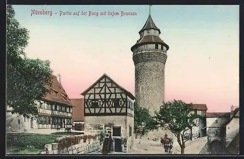 AK Nürnberg, Burg mit tiefem Brunnen