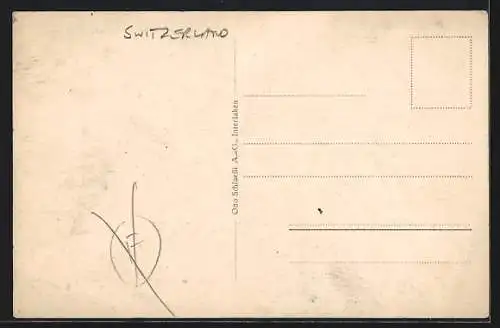 AK Interlaken, Hotel Alpina mit Gebirgspanorama