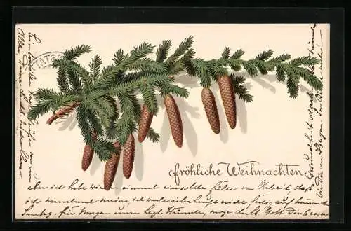 AK Fröhliche Weihnachten, Tannenzweig mit Zapfen