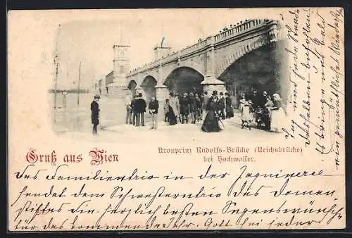 AK Wien, Kronprinz Rudolfs-Brücke bei Hochwasser