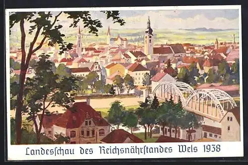 AK Wels, Landesschau des Reichsnährstandes 1938, Panorama