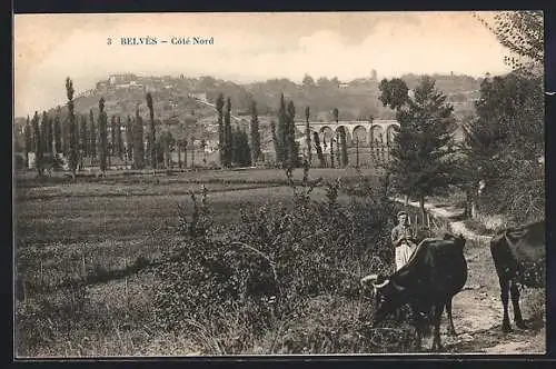 AK Belvès, Côté Nord