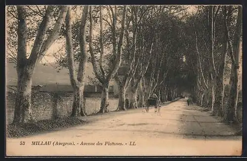 AK Millau /Aveyron, Avenue des Platanes