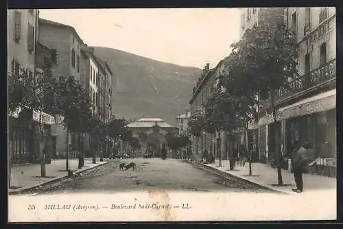 AK Millau /Aveyron, Boulevard Sadi-Carnot