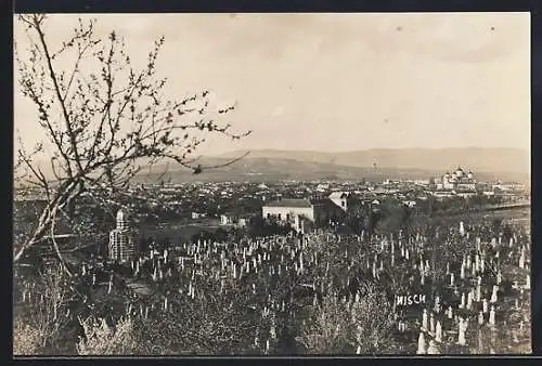 AK Nisch, Stadtpanorama mit Friedhof