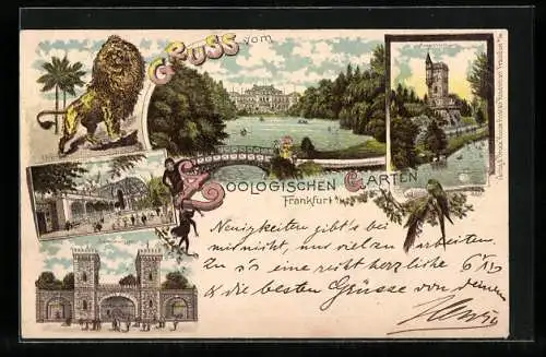 Lithographie Frankfurt, Zoologischer Garten, Bärenzwinger, Affenhaus, Aussichtsturm, Löwe