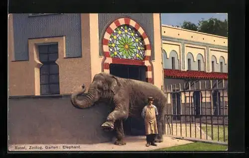 AK Basel, Zoologischer Garten, Elefant mit Tierpfleger