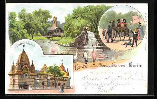 Lithographie Berlin-Charlottenburg, Zoologischer Garten, Neptuns-Teich, Kamel-Reiten und Elefantenhaus