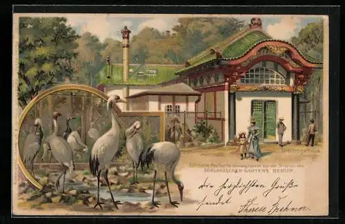 Lithographie Berlin, Zoologischer Garten, Kraniche vor dem Stelzvogelhaus