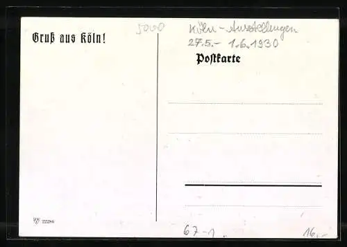 AK Köln, 36. Wanderausstellung der D. L. G., Münster i. W., Sammlung des Verbandes Westf. Rotbuntzüchter, Engelstr. 28