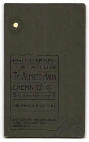 Fotografie Th. Alfred Hahn, Chemnitz, Brückenstrasse 5, Kleinkind auf verziertem Sessel mit Buch.