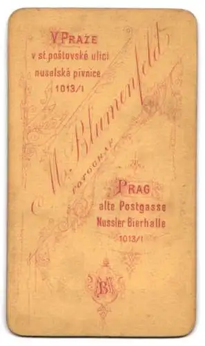 Fotografie M. Blumenfeld, Prag, alte Postgasse 1013 /1, Dame mit Buch in natürlicher Umgebung.