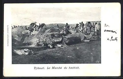 AK Djibouti, Le Marche du hachich