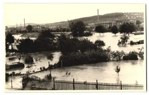 11 Fotografien Kurt Jahn, Gera, Ansicht Gera, Hochwasser - Flutkatastrophe 1954