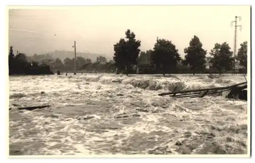 11 Fotografien Kurt Jahn, Gera, Ansicht Gera, Hochwasser - Flutkatastrophe 1954