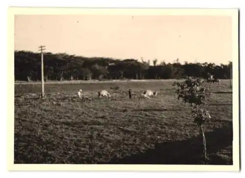 27 Fotografien unbekannter Fotograf, Konstantinopel / Istanbul, Türkei, Stadtansichten mit Strassen, Moscheen u.a.