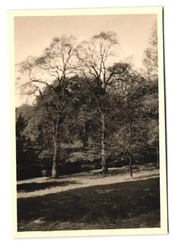 27 Fotografien unbekannter Fotograf, Konstantinopel / Istanbul, Türkei, Stadtansichten mit Strassen, Moscheen u.a.