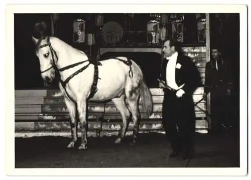 2 Fotografien Zirkus Busch, Dompteur Siegfried Gronau mit seinen Pferden in der Manege