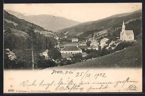 AK Prein /N.-Oe., Ortsansicht mit Kirche