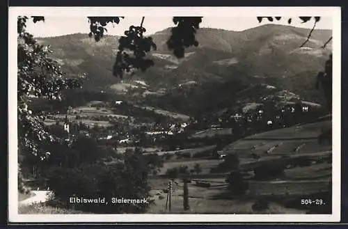 AK Eibiswald /Steiermark, Ortsansicht mit Bergpanorama