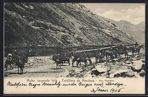 AK Cordillera de Mendoza, Mulas cargando lena