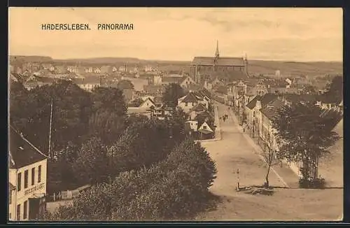 AK Hadersleben, Panorama