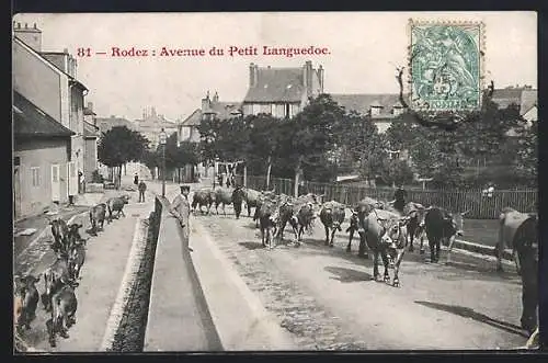 AK Rodez, Avenue du Petit Langeudoc