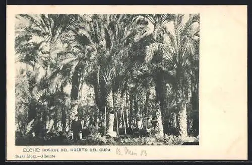 AK Elche, Bosque del Huerto del Cura