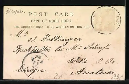 Lithographie Capetown, Docks & Table Mountain, Gesamtansicht