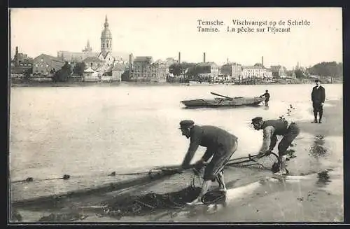 AK Temsche, Vischvangst op de Schelde