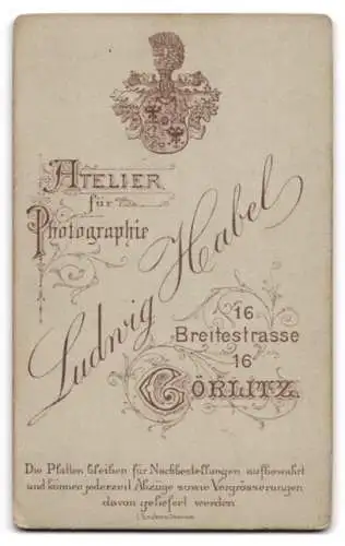 Fotografie Ludwig Habel, Görlitz, Breitestr. 16, Porträt eines jungen Mannes mit Schnurrbart