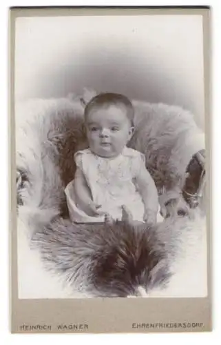 Fotografie Heinrich Wagner, Ehrenfriedersdorf, Chemnitzerstr., Porträt eines Babys auf einem Pelz