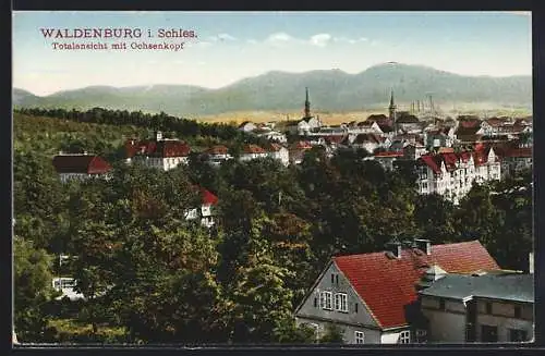 AK Waldenburg i. Schles., Totalansicht mit Ochsenkopf