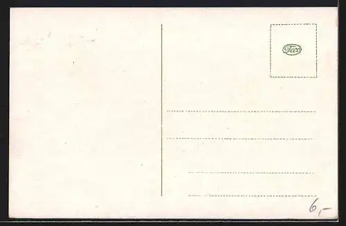 AK Waldenburg i. Schles., Totalansicht mit Ochsenkopf