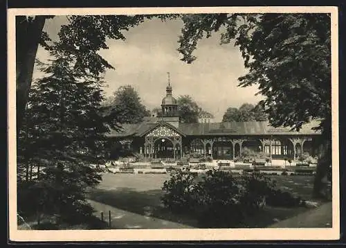 AK Bad Salzbrunn, Elisenhalle, Wandelhalle mit anschliessendem Gesundbrunnen