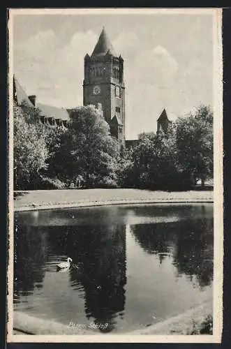 AK Posen / Poznan, Teich gegen Schloss