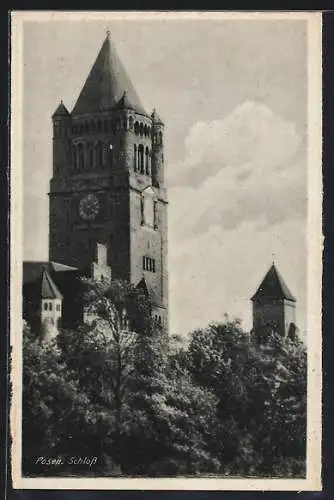 AK Posen / Poznan, Blick zum Schloss